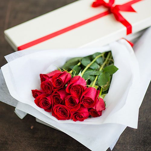  عکس گل رز قرمز مخملی برای پروفایل