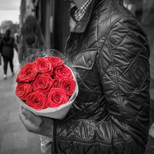  عکس گل رز قرمز مخملی برای پروفایل