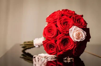  عکس گل رز قرمز و قلب