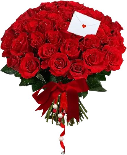  عکس گل رز قرمز و قلب