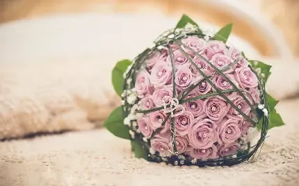  عکس گل رز قرمز و قلب