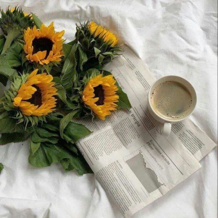  عکس نسکافه