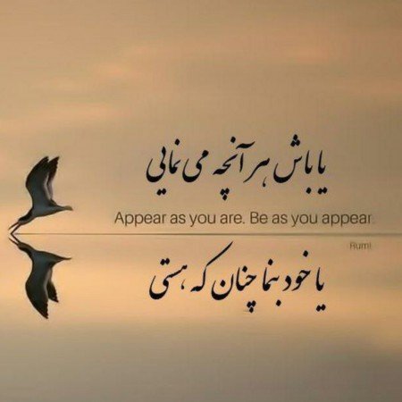  عکس اسکیت برد