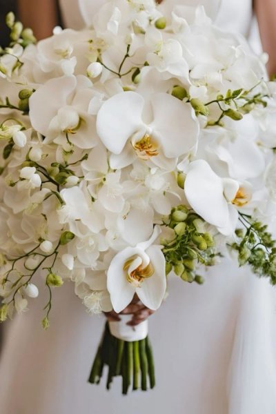  عکس با دسته گل عروس