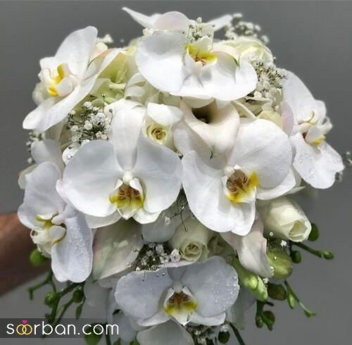  عکس دسته گل عروس لاکچری