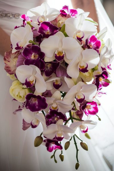  عکس دسته گل عروس جدید