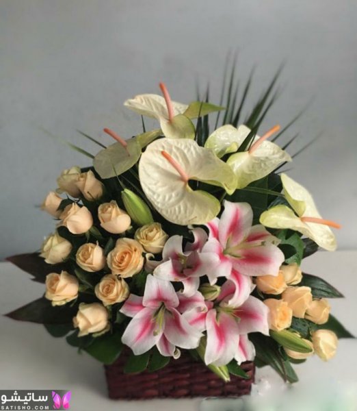  عکس دسته گل خواستگاری
