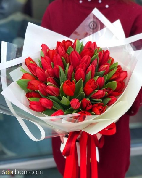  عکس گل خواستگاری در منزل