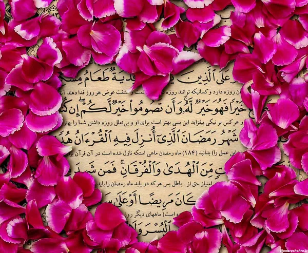  عکس گل برای پروفایل واتساپ