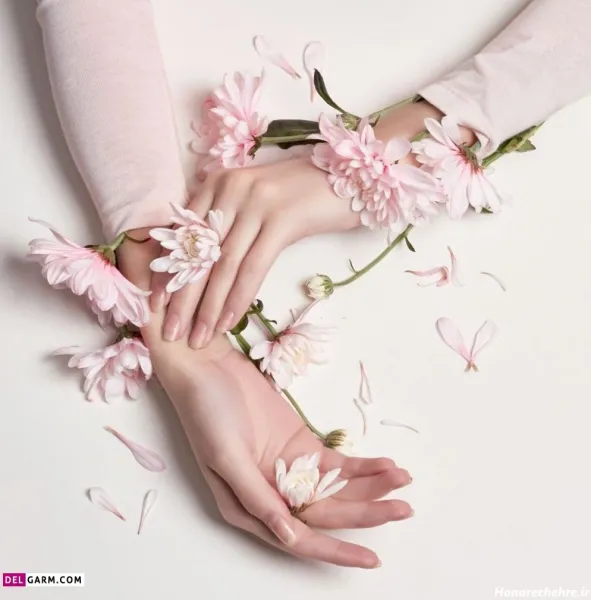  عکس گل برای پروفایل واتساپ