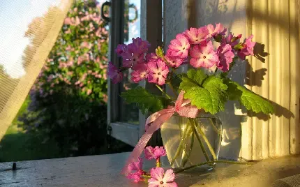 عکس گل برای پروفایل واتساپ نوشته دار