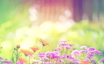 عکس گل برای پروفایل واتساپ نوشته دار