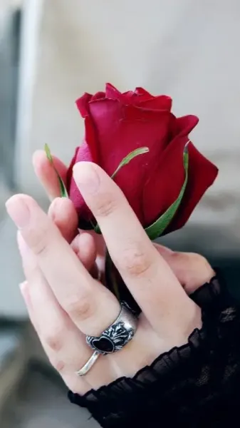 عکس گل برای پروفایل واتساپ نوشته دار