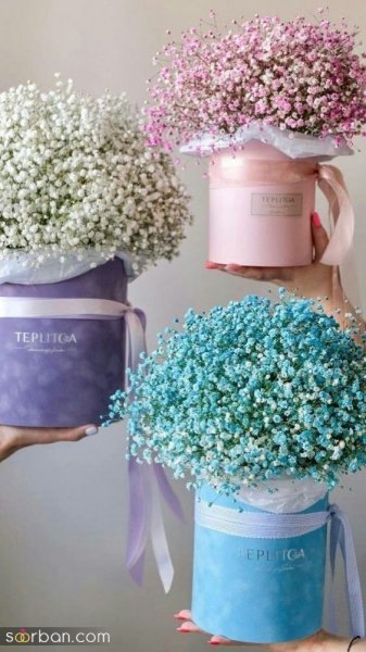 ایده عکاسی با گل ژیپسوفیلا