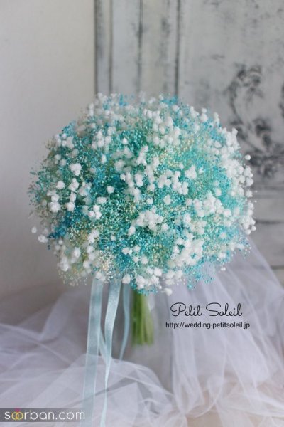  ایده عکاسی با گل ژیپسوفیلا