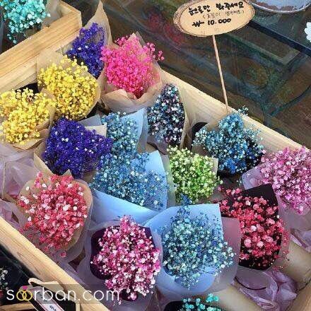  ایده عکاسی با گل ژیپسوفیلا
