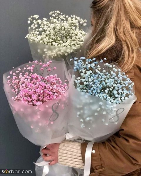  ایده عکاسی با گل ژیپسوفیلا