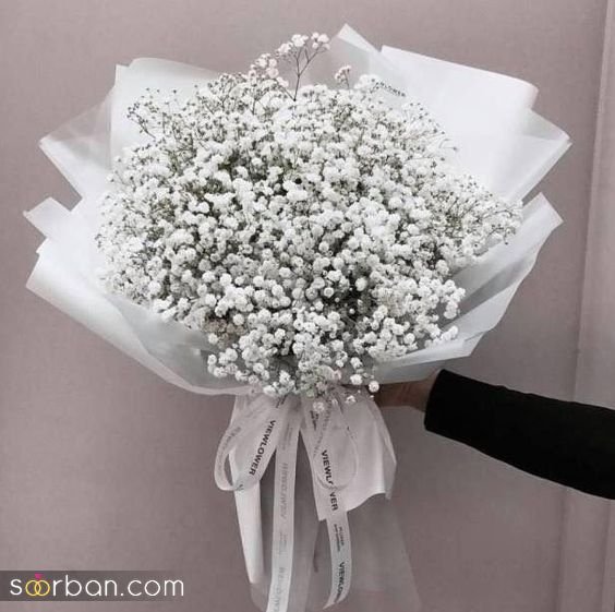  ایده عکاسی با گل ژیپسوفیلا