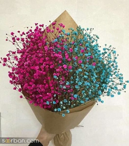  ایده عکاسی با گل ژیپسوفیلا