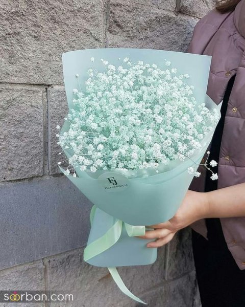  عکس گل ژیپسوفیلا سفید