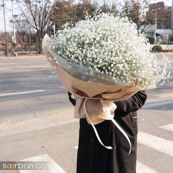  عکس گل ژیپسوفیلا سفید