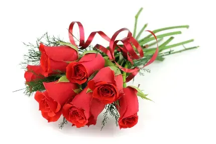  عکس های ولنتاین