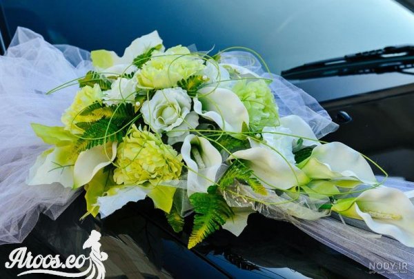 عکس فیک تو ماشین روز