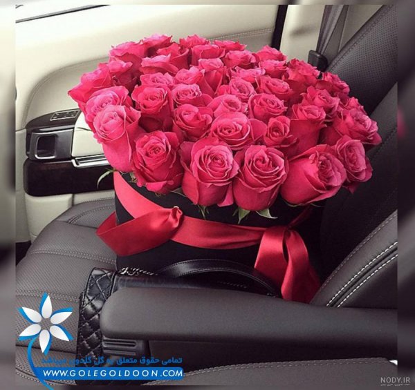 عکس فیک تو ماشین روز