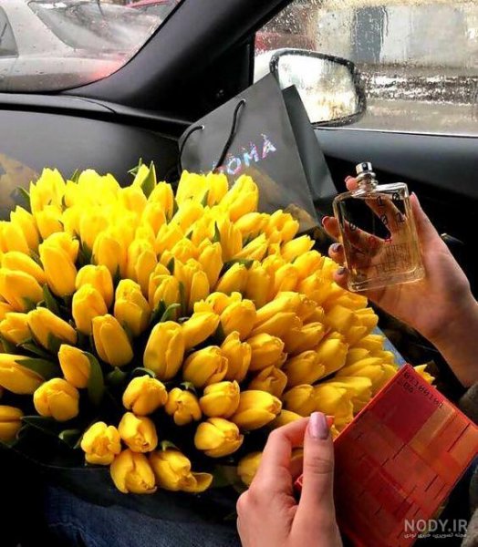 عکس فیک تو ماشین روز