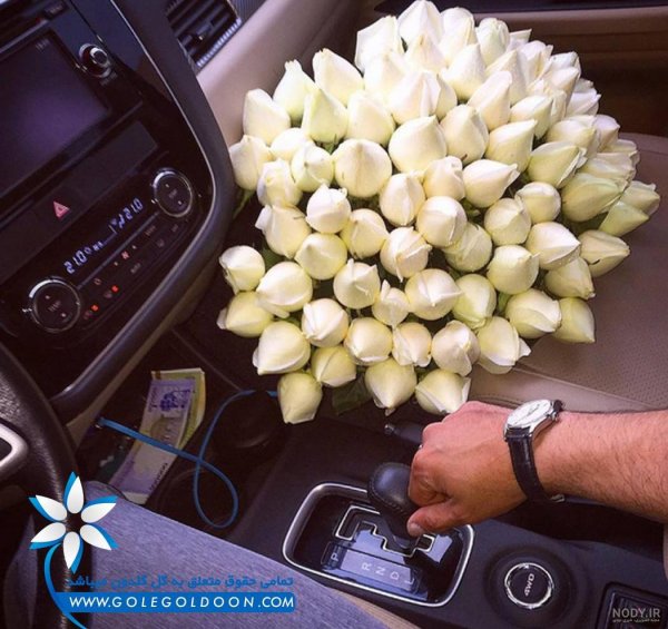 عکس فیک تو ماشین روز