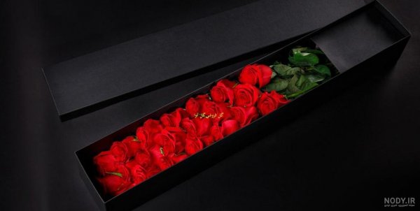 عکس فیک تو ماشین روز