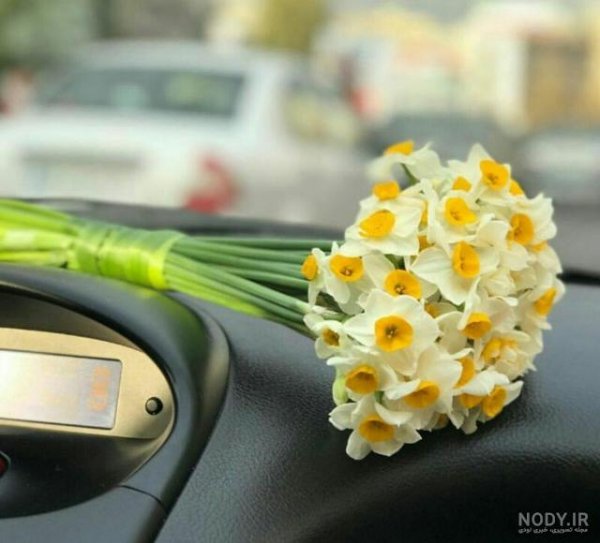 عکس فیک تو ماشین روز