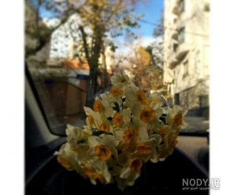 عکس فیک تو ماشین روز