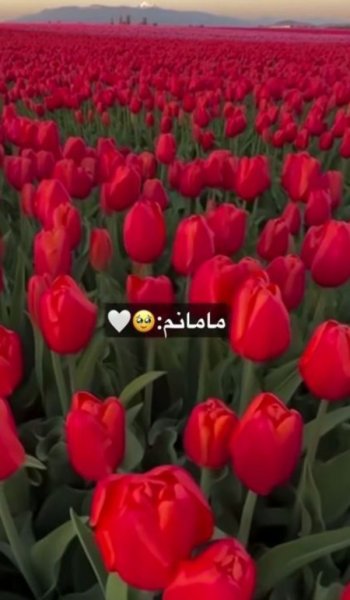  پروفایل مادرانه خاص
