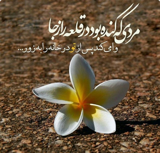  پروفایل شهادت حضرت زهرا