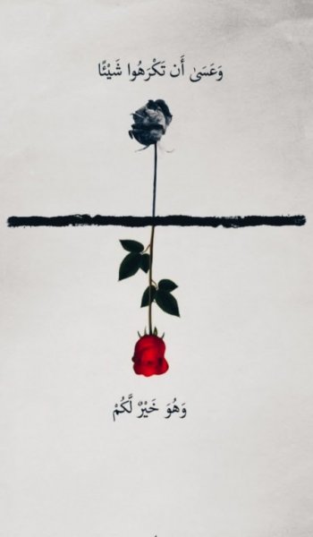  پروفایل فاطمیه 1404