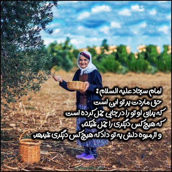  عکس تبریک روز مادر در گروه