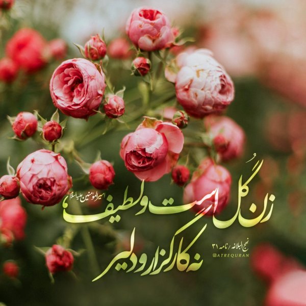  عکس ولادت حضرت زهرا و روز مادر