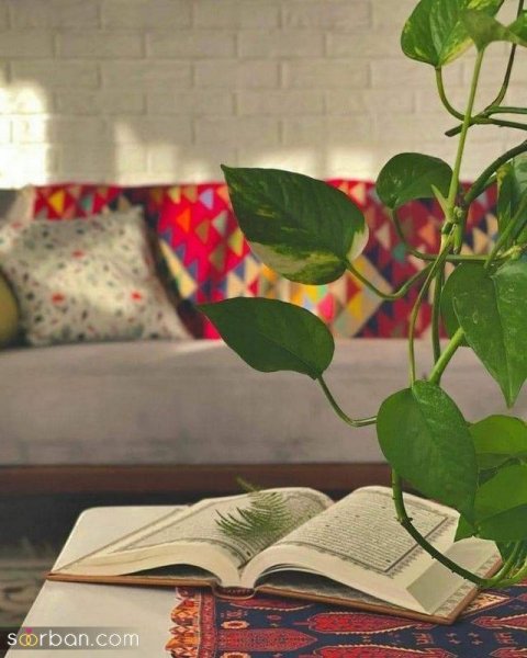  عکس درسی برای پروفایل شاد