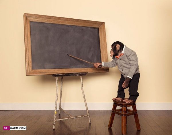  عکس پروفایل برای گروه مدرسه