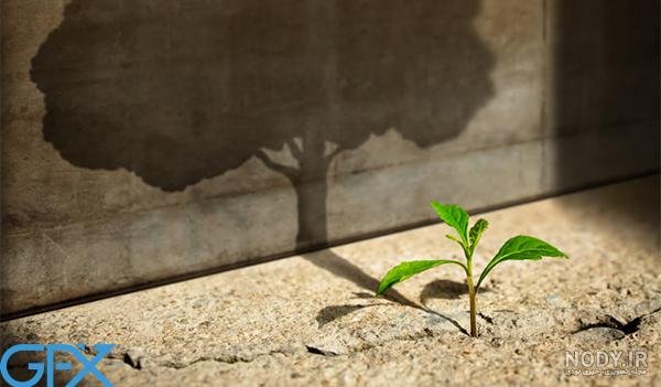  عکس انگیزشی بدون متن فانتزی