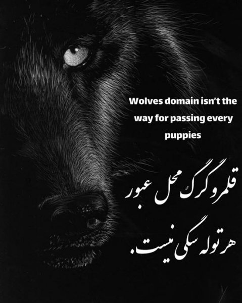 پروفایل انگلیسی پرمعنا