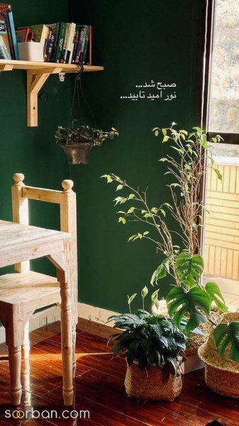  عکس انگیزشی اول صبح