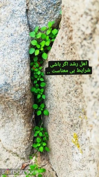  عکس انگیزشی اول صبح