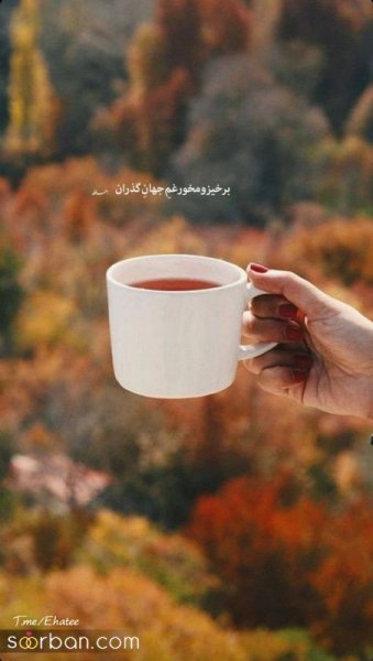  عکس انگیزشی اول صبح