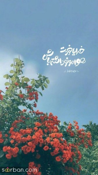  عکس انگیزشی اول صبح