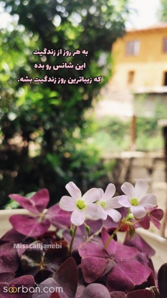  عکس انگیزشی اول صبح
