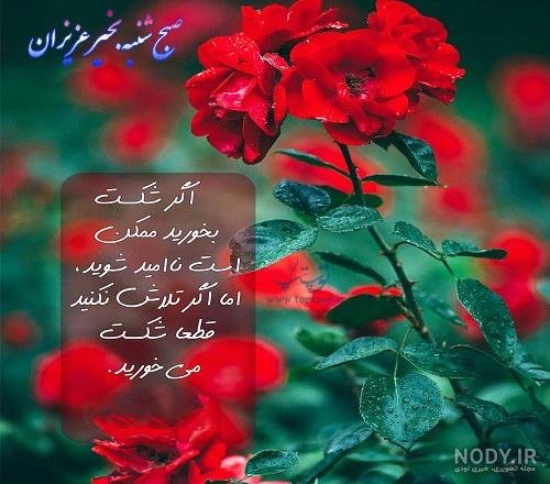  عکس انگیزشی اول هفته