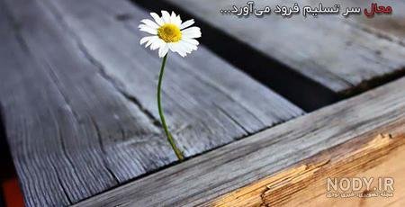  عکس امید به زندگی عاشقانه