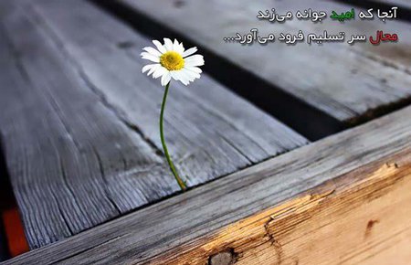  عکس امید به زندگی عاشقانه
